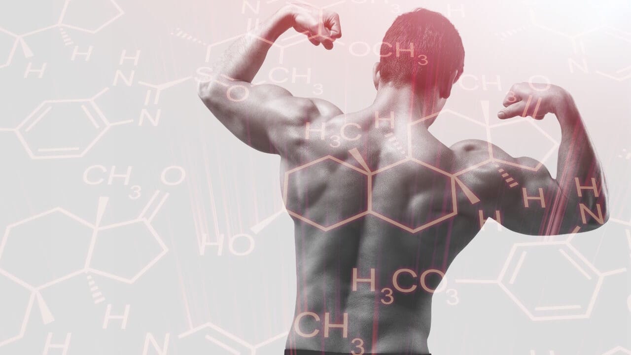 Modificação do Estilo de Vida e o Impacto na Testosterona